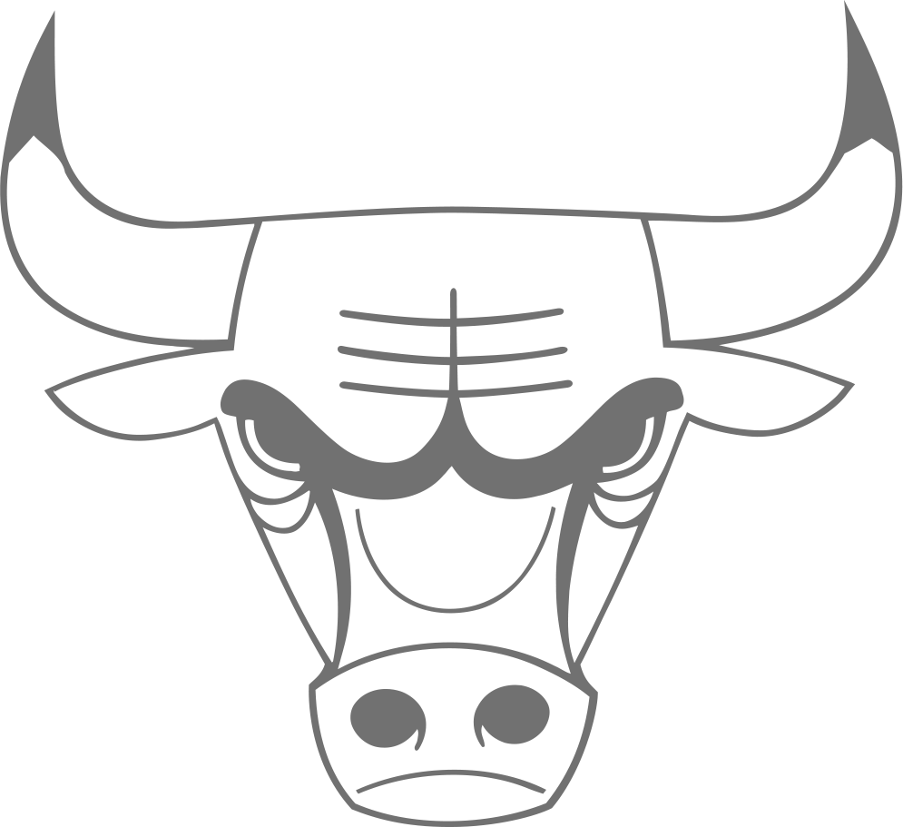 Chicago Bulls design preview on iPhone 16 Pro screen protector