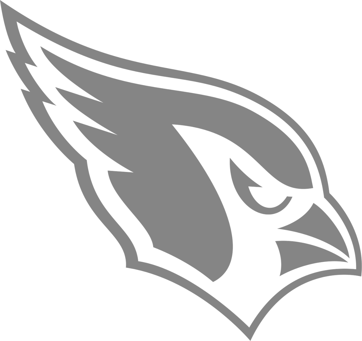 Arizona Cardinals design preview on iPhone 16 Pro screen protector