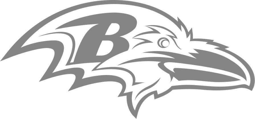 Baltimore Ravens design preview on iPhone 16 Pro screen protector