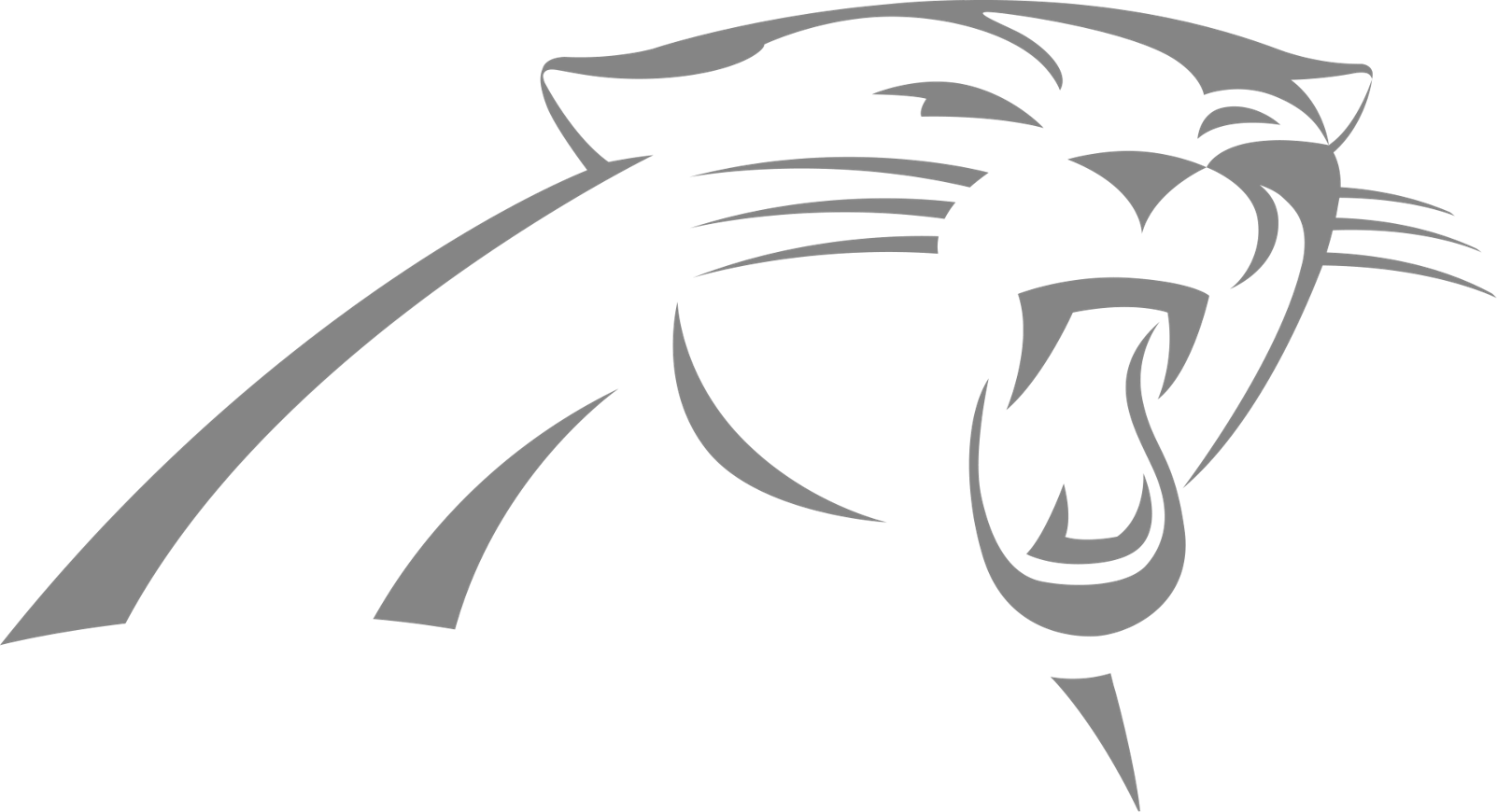 Carolina Panthers design preview on iPhone 16 Pro screen protector