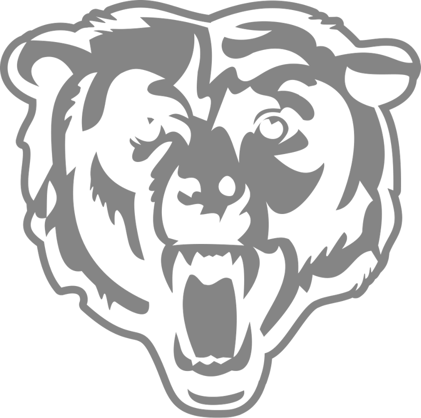 Chicago Bears design preview on iPhone 16 Pro screen protector