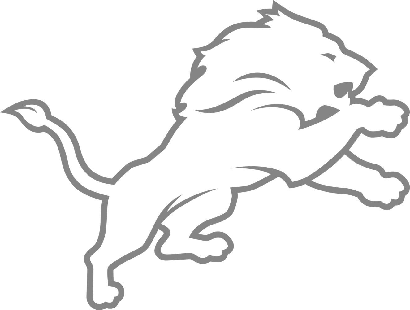 Detroit Lions design preview on iPhone 16 Pro screen protector